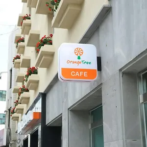 Orange Tree ホテル 済州市